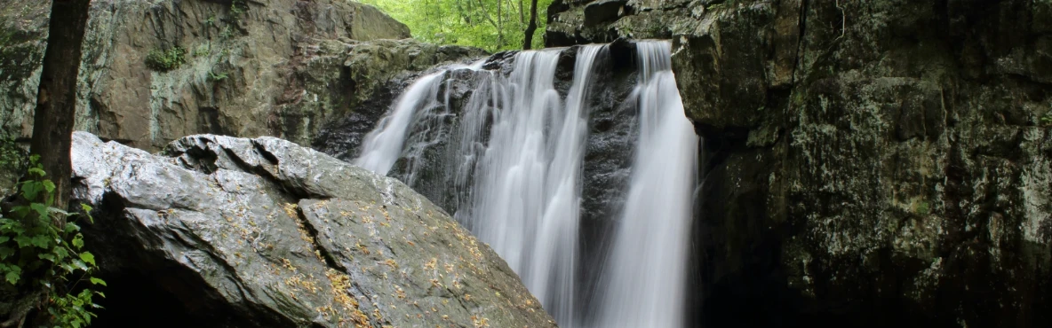 Exploring Nature's Wonders: A Guide to Cortland's Scenic Trails